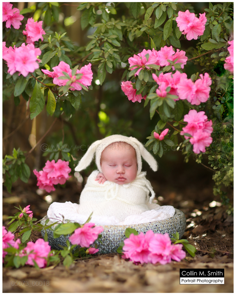 © Collin M. Smith Portrait Photography www.cmsmithportraits.com/blog